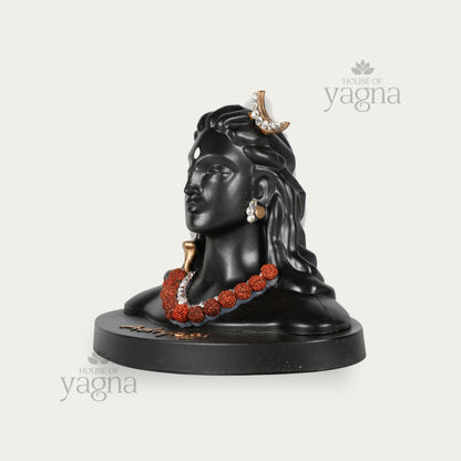 Aadiyogi Idol – Source of Yogic Energy & Transformation